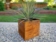 Super Duty Raw Steel Planter, Cube, Many Sizes - Made in USA